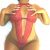 Kuşadası Zenci Escort Malada - Görsel1
